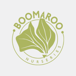 Boomaroo-Logo